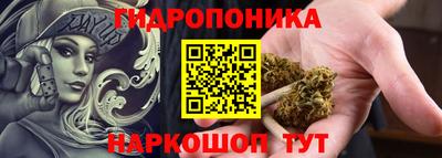 гашик Пенза
