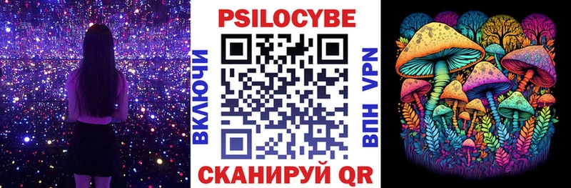 darknet как зайти  Старый Оскол  Галлюциногенные грибы Psilocybine cubensis  наркошоп 