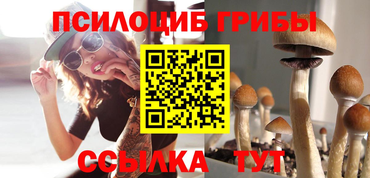Псилоцибиновые грибы MAGIC MUSHROOMS  Вход с VPN  Старый Оскол  Псилоцибиновые грибы MAGIC MUSHROOMS 